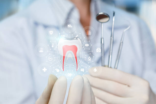  Arlington Heights, WA Holistic Dental Services Pros